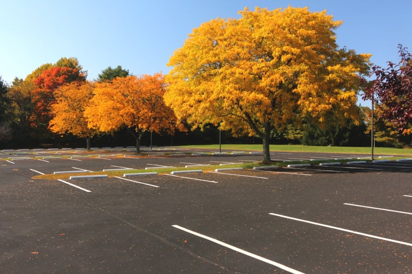 Empty parking lot with fall colored trees