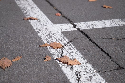 parking lot line stripe with fall leaves