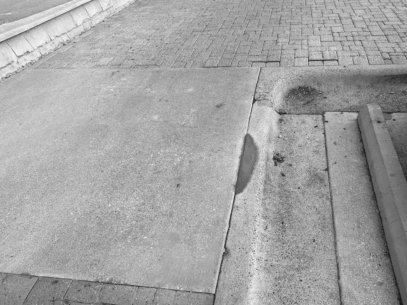 New concrete sidewalk panel and curb installation adjacent to paver walkway